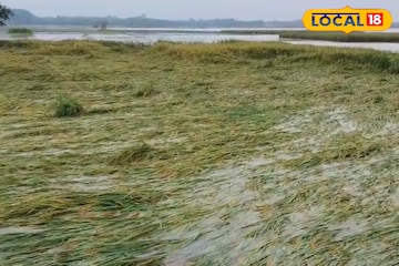 জলে ডুবেছে কৃষিজমি, ভেঙে পড়েছে বাড়ি! অতিবৃষ্টিতে মুর্শিদাবাদে ব্যাপক ক্ষতি জলে ডুবেছে কৃষিজমি, ভেঙে পড়েছে বাড়ি! অতিবৃষ্টিতে মুর্শিদাবাদে ব্যাপক ক্ষতি