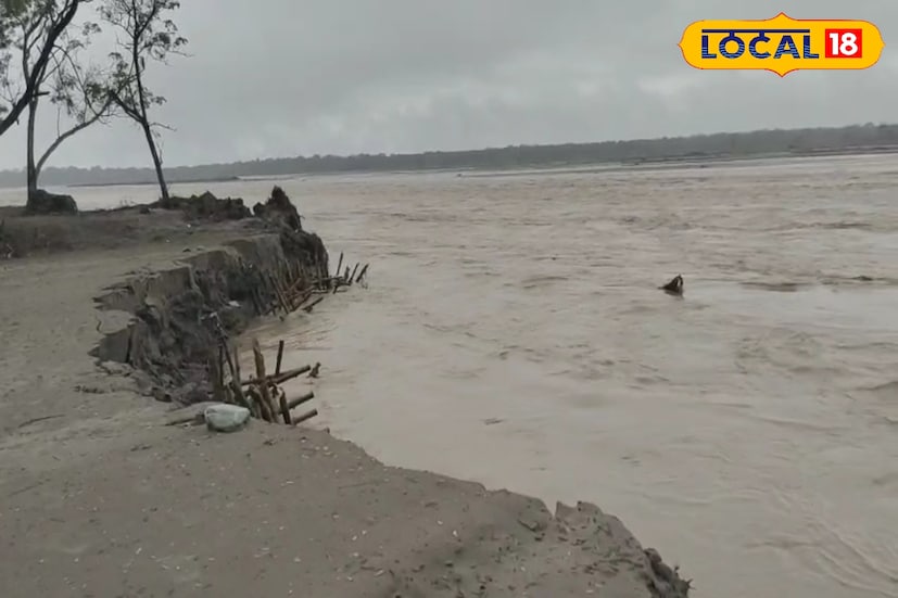 যদিও যে অংশে বাঁধ ভেঙেছে সেখানে কোনও শ্রমিক মহল্লা বা ঘন জনবসতি নেই। কিন্তু বিপাকে বাগানের চা গাছ ও চাষের জমি। ইতিমধ্যে নদীর জল বাগানের ভিতরে ঢুকে পড়ে চা গাছের বহু জায়গায় ক্ষতি করছে।