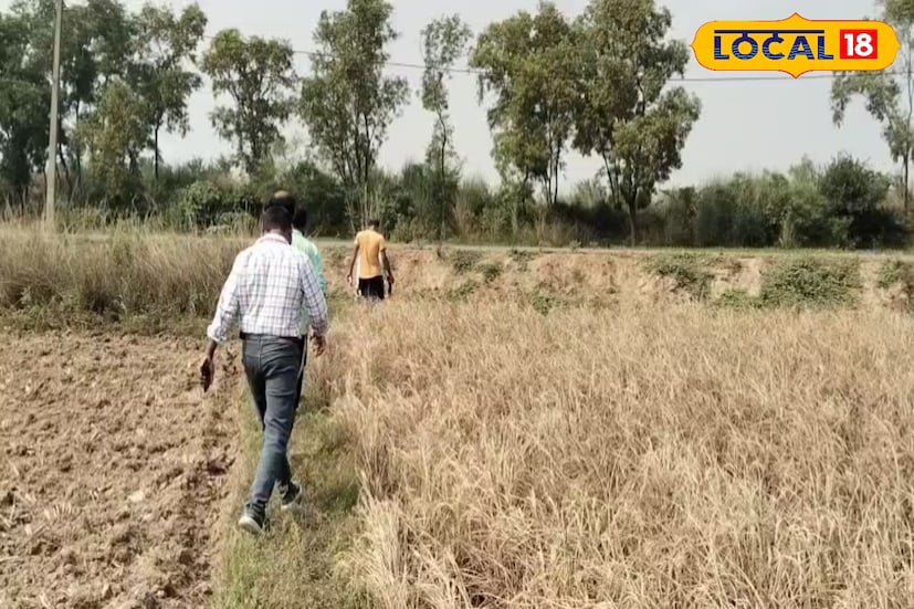 পরিস্থিতি জানার পর মহকুমা ও ব্লক কৃষি আধিকারিকেরা ওই এলাকায় পরিদর্শনে যান। কৃষি দফতরের উদ্যোগে একটি বিশেষ শিবিরও করা হয়, যাতে ক্ষতিগ্রস্ত চাষিরা শস্যবিমার টাকা সঠিকভাবে পান। প্রশাসন সূত্রে জানা গিয়েছে, আক্রান্ত এলাকা থেকে তথ্য সংগ্রহের কাজ চলছে।