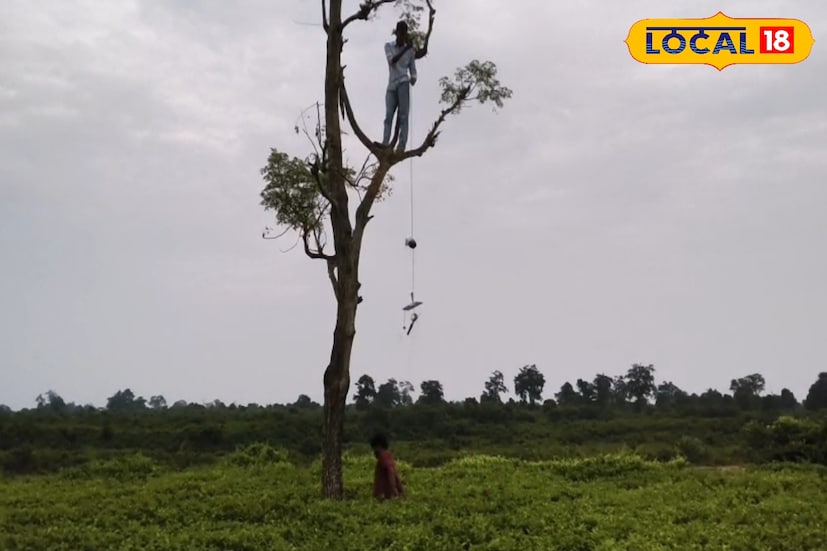 মানুষের প্রাণহানি ও সম্পদের ক্ষতি রোধে এবার বড় পদক্ষেপ নিল জলদাপাড়া বন বিভাগ। ইতিমধ্যে হাতি চলাচলের পরিচিত করিডরগুলিতে ৩০টি গুরুত্বপূর্ণ স্থানে সৌরচালিত সিসি ক্যামেরা স্থাপন শুরু করেছে বিভাগ। এই ক্যামেরাগুলি সেই সব জায়গায় বসানো হচ্ছে, যেখান দিয়ে হাতিরা নিয়মিত বনাঞ্চল থেকে বেরিয়ে আসে।