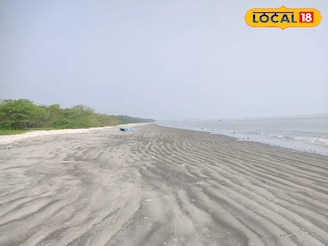 লাল কাঁকড়ার লুকোচুরি,কলকাতার কাছেই ভার্জিন সমুদ্র সৈকতে ঘুরে আসুন,সঙ্গীর সঙ্গে জমবে প্রেম