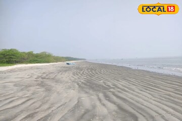 লাল কাঁকড়ার লুকোচুরি,কলকাতার কাছেই ভার্জিন সমুদ্র সৈকতে ঘুরে আসুন,সঙ্গীর সঙ্গে জমবে প্রেম