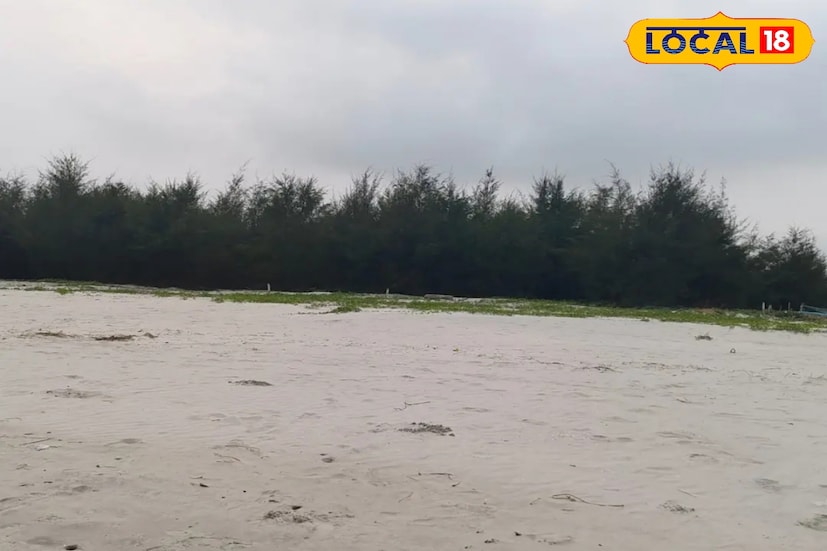 *এখানে রাতের দিকে সমুদ্রের ধারে নোনা হাওয়ার মধ্যে মাছ ভাজা খাওয়ার মজা, দিনের বেলা খোলা সৈকতে লাল কাঁকড়া দেখার মজাই আলাদা। লালগঞ্জ কলকাতা থেকে মাত্র ১৩০ কিমি দূরে অবস্থিত। গাড়ি নিয়েই পৌঁছে যাওয়া যায় সেখানে। ট্রেনে করে তো যাওয়া যায়।