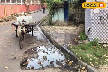 ডেঙ্গি মশার চাষ সোনারপুরে! পরিদর্শনে গিয়ে চোখ কপালে কাউন্সিলরের, বিশেষজ্ঞের পরামর্শ জানুন