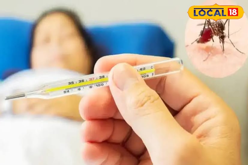 এলাকা ঘুরে স্বাস্থ্য আধিকারিকরা দু'জন জ্বরে আক্রান্ত রোগীর খোঁজ পান। এছাড়াও সেখানে বেশ কিছু পাত্র পড়ে থাকতে দেখা যায়, যেখানে প্রচুর ডেঙ্গি মশার লার্ভা জন্ম নিতে পারে। ফাঁকা জমিতে জঞ্জাল ফেলা রয়েছে। বেশ কিছু নর্দমাও অপরিষ্কার অবস্থায় আছে।