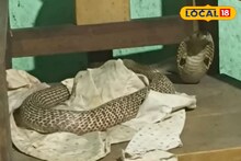 আচমকা ঢুকে পড়ল ঘরের ভিতর, ফণা তুলে বসে আছে বিষধর গোখরো! কীভাবে উদ্ধার হল শুনলে চমকে যাবেন
