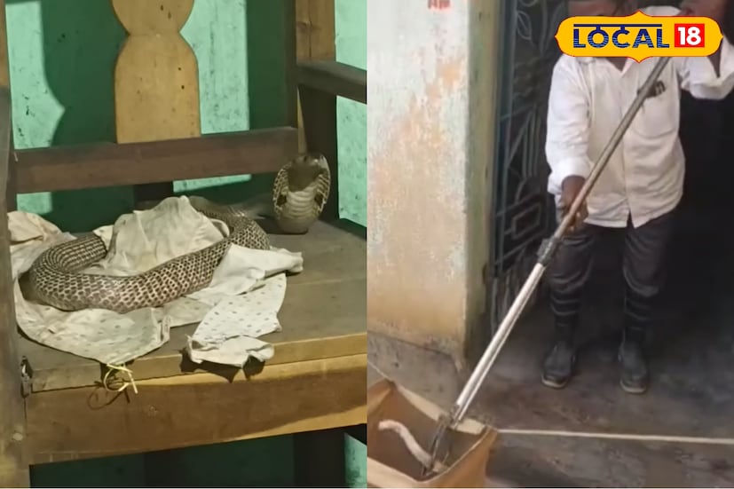 বন্যপ্রাণ সংরক্ষণে বিশেষ অবদানের জন্য পশ্চিমবঙ্গ সরকার তাঁকে ২০১৯ সালে ‘শিক্ষারত্ন’ সম্মানে ভূষিত করে। দীনবন্ধু বিশ্বাসের এই মানবিক ও পরিবেশবান্ধব উদ্যোগে মুগ্ধ স্থানীয় বাসিন্দারা।