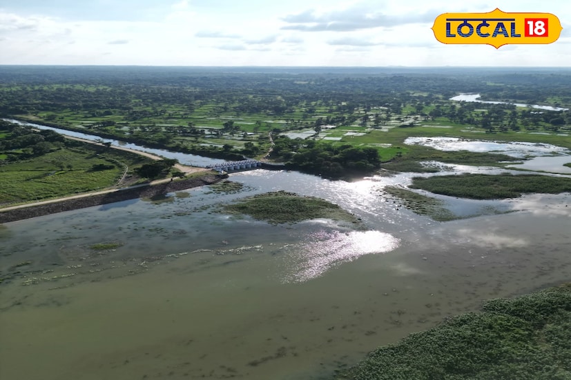 স্থানীয় পক্ষী বিশেষজ্ঞ দেবনাথ চৌধুরী জানান, 