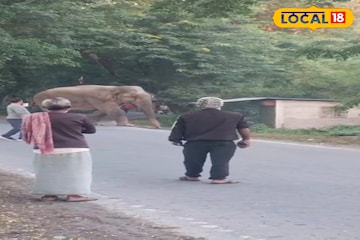 বক্সা জঙ্গলের 'বস', মর্নিং ওয়াকে বেরোতেই সরে দাঁড়াল সবাই! সকাল সকাল হাতিকে নিয়ে অন্য ছবি বক্সা জঙ্গলের 'বস', মর্নিং ওয়াকে বেরোতেই সরে দাঁড়াল সবাই! সকাল সকাল হাতিকে নিয়ে অন্য ছবি