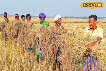 বেড়ে গেল ধানের সরকারি সহায়ক মূল্য, বিক্রির পদ্ধতিতেও নতুনত্ব! বিক্রির আগে খুশি কৃষকরা বেড়ে গেল ধানের সরকারি সহায়ক মূল্য, বিক্রির পদ্ধতিতেও নতুনত্ব! বিক্রির আগে খুশি কৃষকরা