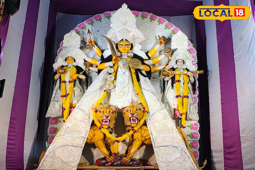 দূর দূরান্ত থেকে অসংখ্য ভক্তরা নবদ্বীপের এই শাক্ত রাস। সুবিশাল ভিন্ন ভিন্ন মূর্তি দেখতে চৈতন্য ভূমি নবদ্বীপে ভিড় জমান লক্ষাধিক দর্শনার্থীরা।