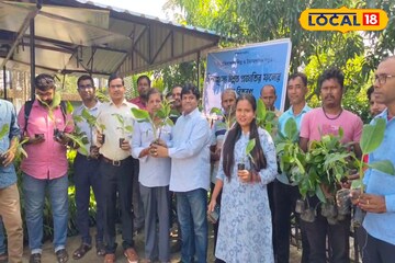 মালদহের ফল চাষিদের জন্য সুখবর! উন্নত প্রজাতির গাছের চারা মিলছে সম্পূর্ণ বিনামূল্যে