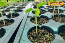 Mental Health and Gardening: মানসিক চাপ কমানোর মোক্ষম অস্ত্র! শীতে ছাদ বাগান হয়ে উঠছে শহরের মানুষের নতুন ভরসা