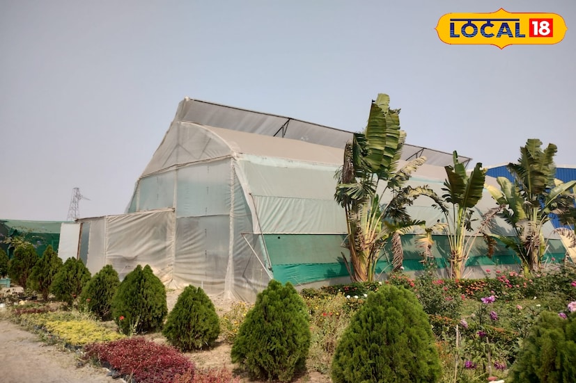 চারিদিকে ছড়িয়েছে পরিবেশ দূষণ। বাড়ছে জনসংখ্যা। ধীরে ধীরে কমে যাচ্ছে গাছের সংখ্যা, বাড়ছে সিমেন্টের জঙ্গল। এই রকম কঠিন পরিস্থিতিতে নিজের বাড়ির ছাদে কিংবা উঠোনে এক কুচি করে বাগান তৈরি করলে কিছুটা পরিবেশ সচেতন হওয়া যায়। সেই কারণেই বাঁকুড়ার দিকে দিকে তৈরি হয়েছে বিভিন্ন গ্রিনহাউজ। 