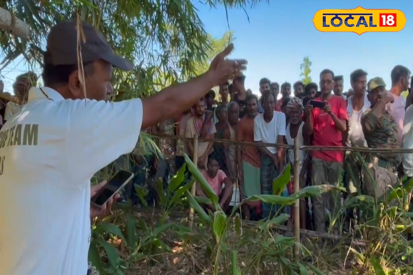 *বনকর্মীদের প্রাথমিক ধারণা, খিদের তাড়নায় কিং কোবরা দাঁড়াশ সাপটিকে শিকার করে। বিশেষজ্ঞদের মতে, কিং কোবরা একমাত্র সাপ, যে অন্য সাপকেই প্রধান খাদ্য হিসেবে গ্রহণ করে। তবে মানুষের চোখের সামনে এমন বিরল দৃশ্য ধরা পড়া অত্যন্ত অস্বাভাবিক ঘটনা।
