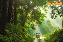 Dooars Tourism: শীতে ঘুরে আসুন চিলাপাতা, কোন স্টেশনে নামলে সুবিধা? কী কী ঘুরে দেখবেন? যাওয়ার আগে জানুন