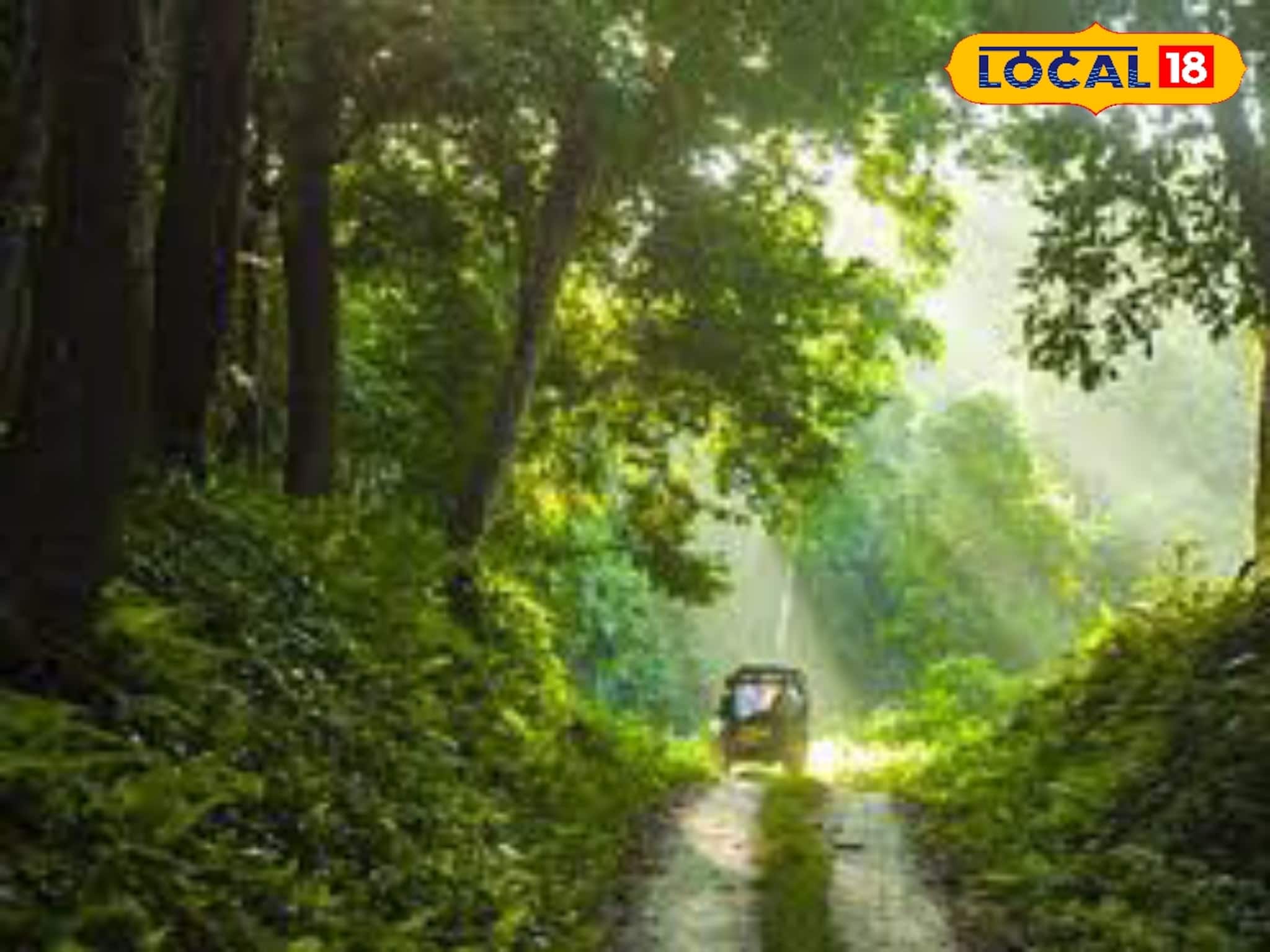 শীতে ঘুরে আসুন চিলাপাতা, কোন স্টেশনে নামলে সুবিধা? কী কী ঘুরে দেখবেন? যাওয়ার আগে জানুন