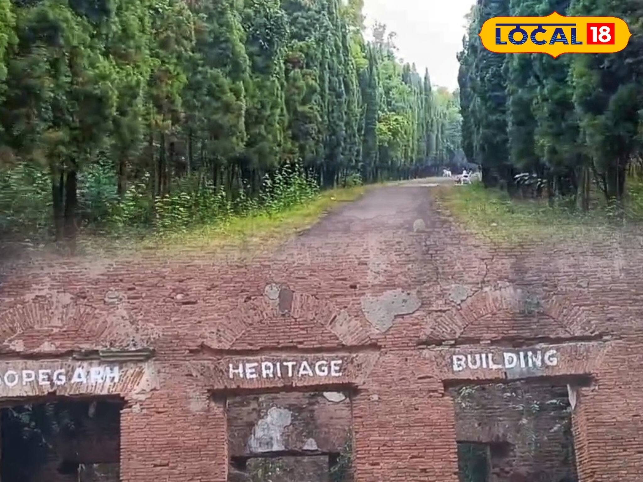 মেদিনীপুরে উত্তরবঙ্গের স্বাদ, প্রকৃতির কোলে এক টুকরো স্বপ্ন নগরী, হালকা শীতে ঘুরে আসুন