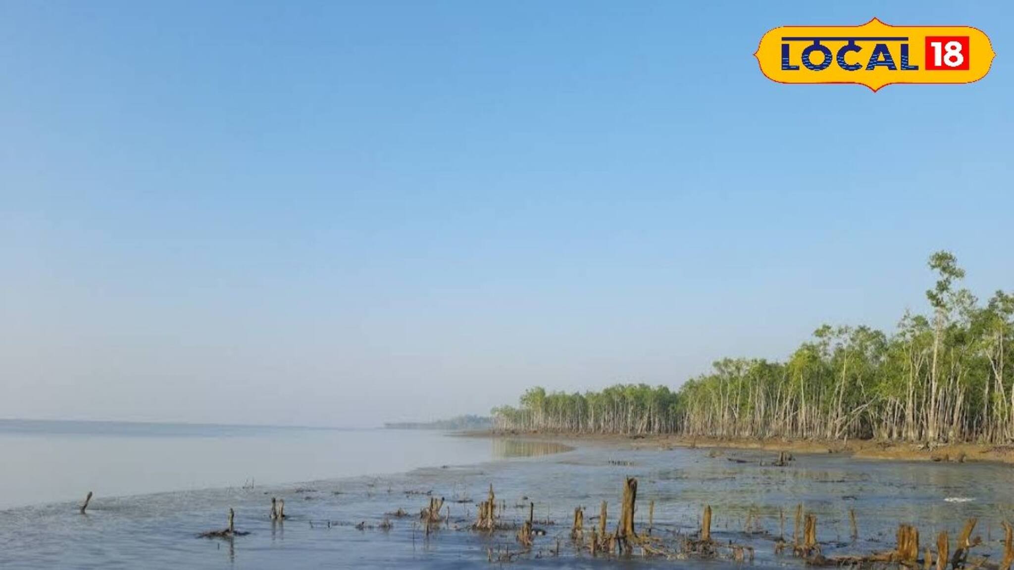 এবারের শীতে গন্তব্য হোক অফবিট সুন্দরবন! চুলকাঠি, ধুলাভাসানি, ধনচি-অপরূপ প্রাকৃতিক নৈসর্গ্য