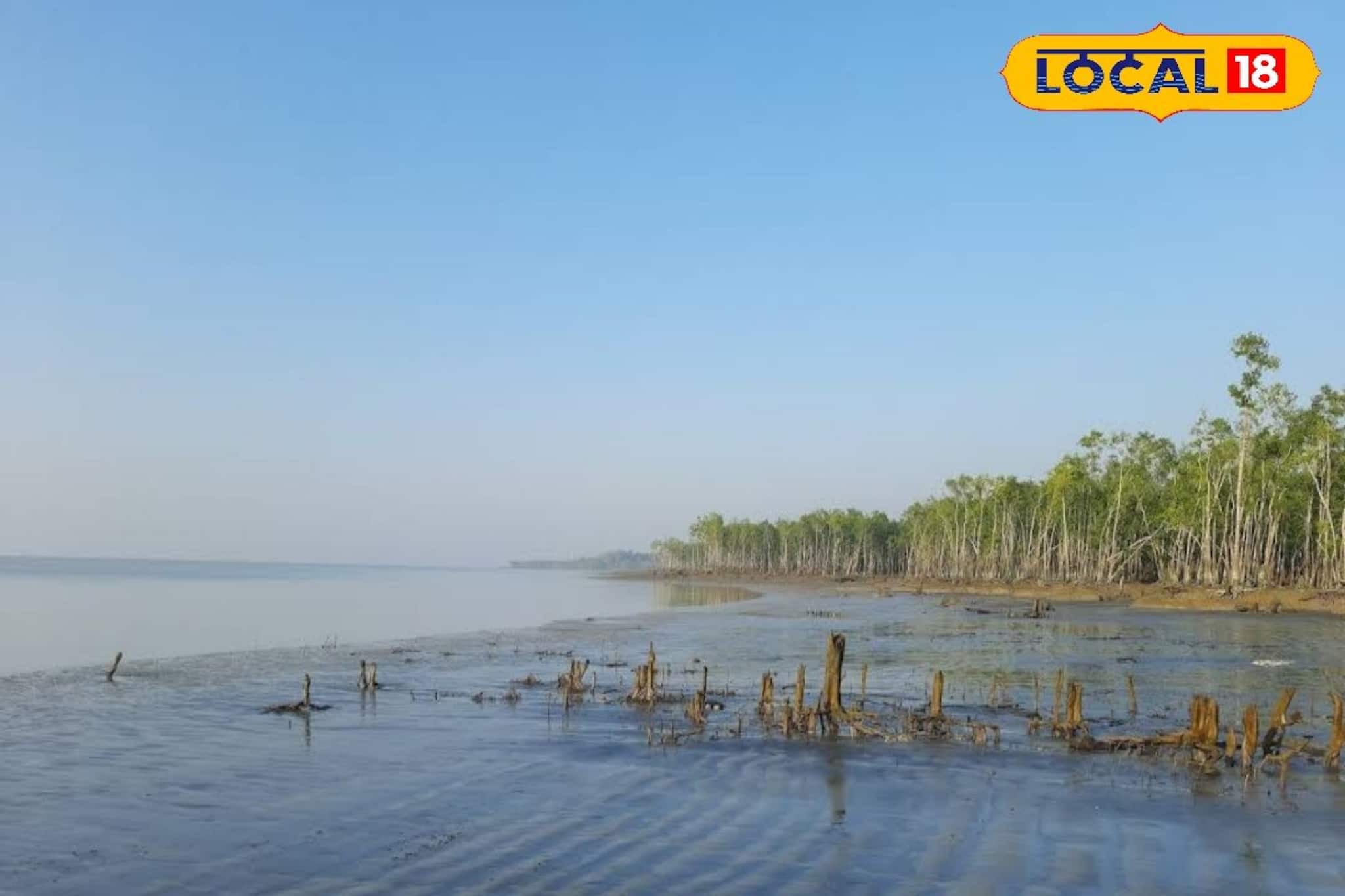 Trip In Winter Vacation: এবারের শীতে গন্তব্য হোক অফবিট সুন্দরবন! চুলকাঠি, ধুলাভাসানি, ধনচি-অপরূপ প্রাকৃতিক নৈসর্গ্য