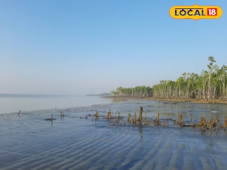 এবারের শীতে গন্তব্য হোক অফবিট সুন্দরবন! চুলকাঠি, ধুলাভাসানি, ধনচি-অপরূপ প্রাকৃতিক নৈসর্গ্য