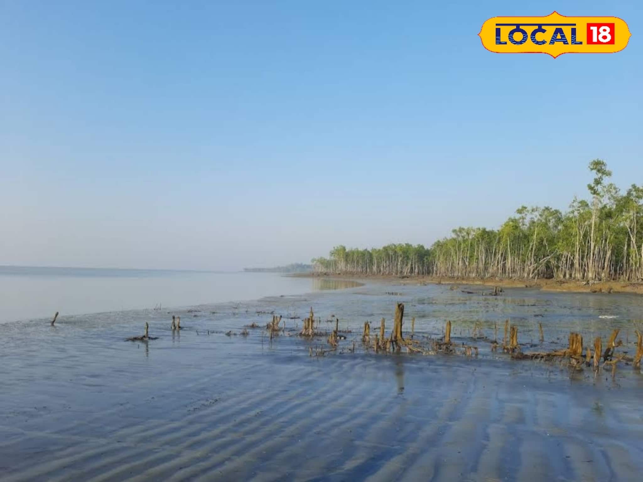Trip In Winter Vacation: এবারের শীতে গন্তব্য হোক অফবিট সুন্দরবন! চুলকাঠি, ধুলাভাসানি, ধনচি-অপরূপ প্রাকৃতিক নৈসর্গ্য