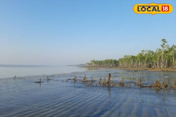 এবারের শীতে গন্তব্য হোক অফবিট সুন্দরবন! চুলকাঠি, ধুলাভাসানি, ধনচি-অপরূপ প্রাকৃতিক নৈসর্গ্য
