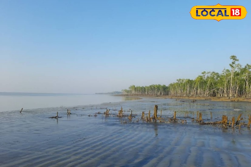 পাথরপ্রতিমা, দক্ষিণ ২৪ পরগনা, নবাব মল্লিক: এবার শীতে গন্তব্য হোক অফবিট সুন্দরবন। সাধারণত পর্যটকরা সুন্দরবনে এসে কলস, বণি, সজনেখালি ঘুরতে যান। কিন্তু তার বাইরেও প্রকৃতিকে জানতে ঘুরতে পারেন চুলকাঠি, ধুলাভাসানি, ধনচি এলাকায়। ছবি ও তথ্য: নবাব মল্লিক