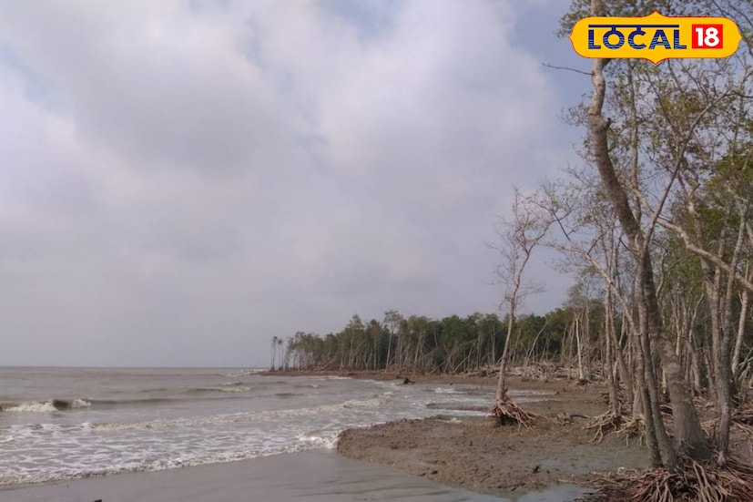 অফবিট সুন্দরবনে ভাগ্য ভাল থাকলে দেখা মিলতে পারে রয়্যাল বেঙ্গলের। এই এলাকাগুলি বঙ্গোপসাগর লাগোয়া এলাকা। রয়েছে সুন্দরবনের সুন্দরী গাছ, হরিণ সহ আরও অন্যান্য বণ্যপ্রাণী‌।