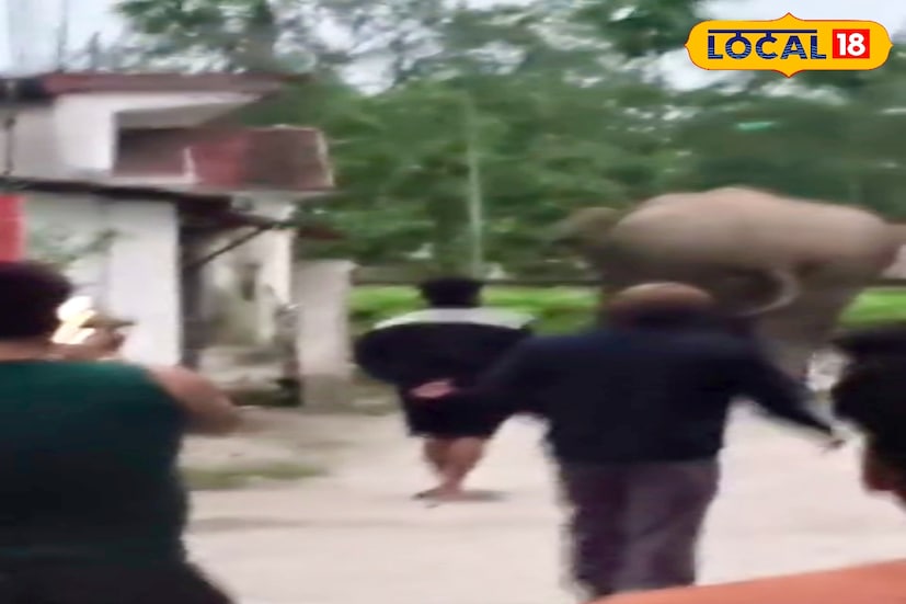 বক্সা ব্যাঘ্র প্রকল্পের বন কর্মীদের এই বিষয়ে খবর দেওয়া হয়। এলাকায় বন কর্মীরা রয়েছে। হাতিটি জঙ্গলের কাছে রয়েছে কিন্তু আবারও সেটি কালচিনির দিকে আসতে পারে বলে জানা যায়। আর আলিপুরদুয়ারের বিভিন্ন এলাকায় এইভাবে বারবার হাতির হানা রীতিমতো আতঙ্কে রেখেছে বাসিন্দাদের। যদিও বন দফতর সবসময় সাধারণ মানুষদের পাশে আছে বলেই জানাচ্ছে। (ছবি ও তথ্য: অনন্যা দে)