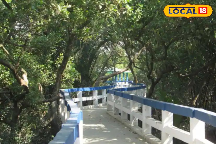 ব্রিটিশ শাসনকালে টাকি নদীর পাড়ে বাণিজ্যের কেন্দ্র হিসেবে কাজ করেছিল। এছাড়া গ্রীষ্মকালীন সময় অতিবাহিত করার জন্য এখানে ব্রিটিশ প্রশাসক-জমিদাররা আসতেন। এসব কারণে এই নামধারার জায়গাটি শুধু ভূ-সংক্রান্ত নয়, সামাজিক ও অর্থনৈতিক দৃষ্টিকোণ থেকেও গুরুত্বপূর্ণ।