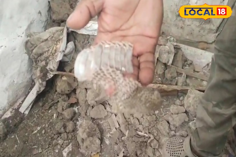 এরপর শুরু হয় মাটির বাড়ি ভাঙার কাজ। মাটির বাড়ি ভাঙার সময় এলাকাবাসীরা দেখতে পাই বেশ কয়েকটি সাপের ডিম। এরপর আতঙ্কিত হয়ে পড়ে এলাকার বাসিন্দারা। তড়িঘড়ি খবর দেওয়া হয় পরিবেশ কর্মী কে। খবর পেয়ে ঘটনাস্থলে পৌঁছায় পরিবেশকর্মী দিবাকর নস্কর এরপর মাটির বাড়ির মেজে খুঁড়ে উদ্ধার হয় বিষধর কেউটে সাপ এবং বেশ কয়েকটি ডিম।