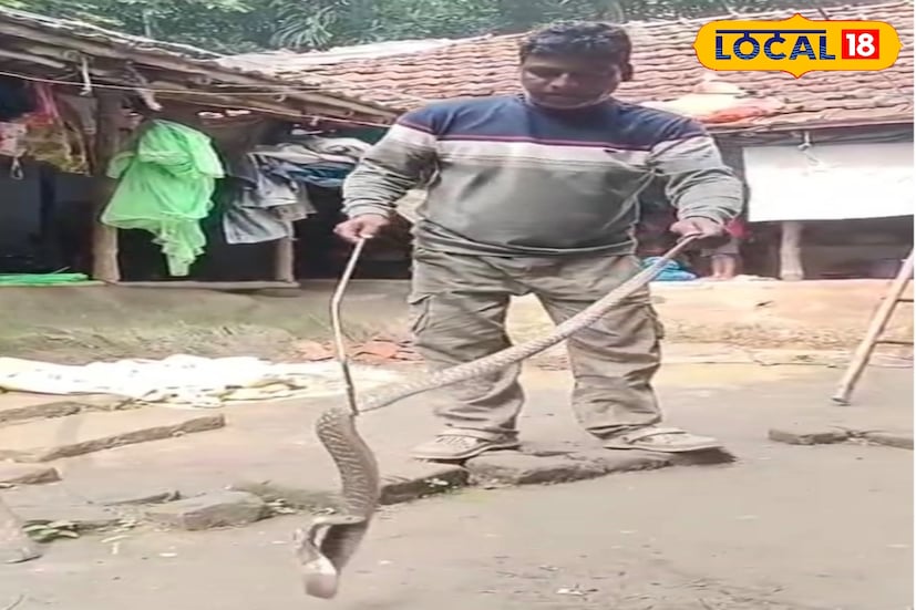 কয়েকদিন ধরে মাটির ঘরের নিচে থেকে ফোসফোঁস আওয়াজ ভেসে আসতো। আতঙ্কিত হয়ে পড়লেও এই শব্দ শুনে সপরিবারে ই ওই বাড়িতেই বসবাস করত তৌফিক ও তার পরিবার। এক বছর ধরে এই শব্দ আসতো বাড়ির নিচে থেকে অবশেষে আজ সেই শব্দের উৎস জানার জন্য এলাকাবাসীদের জানান তৌফিক।