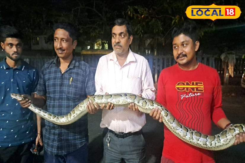 তিস্তা নদীতে ভেসে এসে এলাকায় ত্রাস চলাচ্ছিল গত কয়েকদিন ধরে। কখনও কারও ছাগলের ঘরে, কখনও আবার কারও মুরগির খোপে দেখা মিলছিল এই সাপটির। তবে প্রতিবারই ধরা পড়ার আগেই পালিয়ে যাচ্ছিল সে।