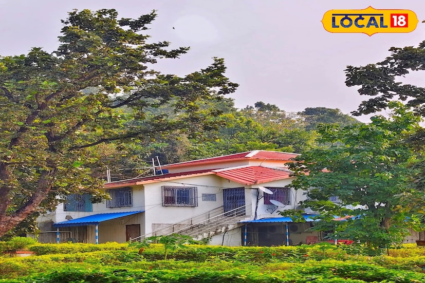 ১৮০০ টাকা থেকে শুরু। পেয়ে যাবেন থাকা-খাওয়ার ব্যবস্থা। শীতে পলাশে ঢেকে যায় এই ইকো রিসোর্ট। তখন আসলে দেখতে পাবেন প্রকৃতির অদ্ভুত মায়াবি রূপ। মনে হবে এখানেই থেকে যাই। 