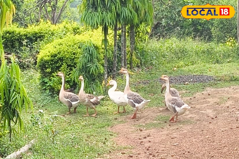 শীত প্রায় চলে এসেছে। ঠান্ডা কিন্তু বেশ ভালই পড়তে চলেছে। ঠান্ডা ভাল থাকার মানে হল, আপনি ঘুরে দেখতেই পারেন বাঁকুড়ার আনাচে কানাচে। মিস করবেন না কিন্তু বাঁকুড়ার বড়দি পাহাড় ইকো রিসোর্ট, এবং নদীর ধারের টিলা। (ছবি ও তথ্য নীলাঞ্জন বন্দ্যোপাধ্যায়)