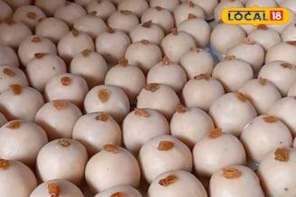 মুখে দিলেই গলে যাবে... মন হরণ করতে এক্সপার্ট মুর্শিদাবাদের মনোহরা