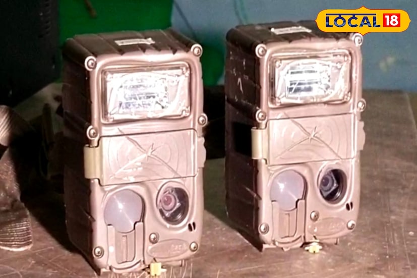 সুন্দরবনে কতটা বেড়েছে বাঘের সংখ্যা? বাঘের খাবারের যোগান ঠিক কতটা? সেই হিসাব পরিষ্কার করে জানতে চলতি মাসের এই সপ্তাহে শুরু হচ্ছে বাঘ গণনার কাজ। গোটা সুন্দরবন জুড়ে মোট ১,৪৮৪টি ক্যামেরা বসানোর কাজ শুরু হবে। (ছবি ও তথ্য: সুমন সাহা) সুন্দরবনে কতটা বেড়েছে বাঘের সংখ্যা? বাঘের খাবারের যোগান ঠিক কতটা? সেই হিসাব পরিষ্কার করে জানতে চলতি মাসের এই সপ্তাহে শুরু হচ্ছে বাঘ গণনার কাজ। গোটা সুন্দরবন জুড়ে মোট ১,৪৮৪টি ক্যামেরা বসানোর কাজ শুরু হবে। (ছবি ও তথ্য: সুমন সাহা)