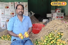 বিন্দুর ছোট্ট কমলালেবু! স্বাদে বড় চমক! ক্রেতার ভিড় উপচে পড়ছে বাজারে