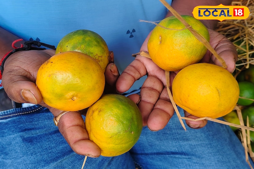 বিন্দুর কমলালেবু আকারে তুলনামূলক ছোট হলেও স্বাদে কিন্তু একেবারেই টক-মিষ্টির অনন্য মিশেল। বলতেই হয়, এই কমলালেবু খোসা ছাড়ানো থেকে খাওয়া...এক আলাদা অনুভূতি, বিশেষ করে রোদ গায়ে মেখে শীতের সকালে। তাই শীতের শুরুতেই বাজারে এলে ক্রেতাদের ভিড় যেন চোখে পড়ার মত।