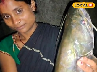 করলা নদী থেকে উঠল 'দানব'! ভর সন্ধ্যায় ছুটে এল গ্রামের বাসিন্দারা, বিরল 'জিনিস' দেখল ওঁরা..