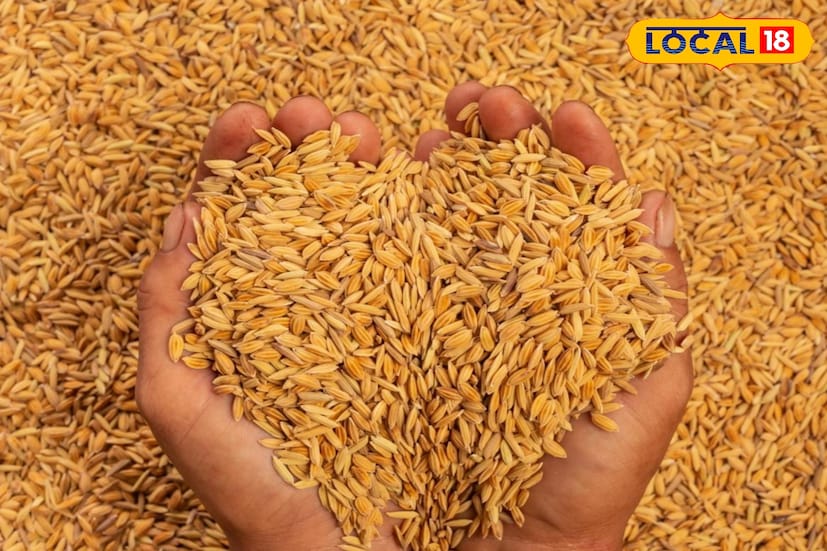 খাদ্য ও সরবরাহ দফতরের মতে, ধানের মধ্যে জৈব মিশ্রণ সর্বাধিক ১% হতে পারবে, অজৈব মিশ্রণও সর্বাধিক ১%। আদ্রতা থাকতে পারবে সর্বোচ্চ ১৭%। অপরিপক্ক ও কুঞ্চিত ধান সর্বাধিক ৩% অবধি এবং নিম্নজাতের মিশ্রিত ধান সর্বাধিক ৬% অবধি গ্রহণযোগ্য। নষ্ট, বিবর্ণ, অঙ্কুরিত বা পোকায় কাটা ধান সর্বাধিক ৫% পর্যন্ত থাকতে পারবে। এর বেশি হলে সরকারি সহায়ক ধান কয় কেন্দ্রে ধান গ্রহণযোগ্য নাও হতে পারে।