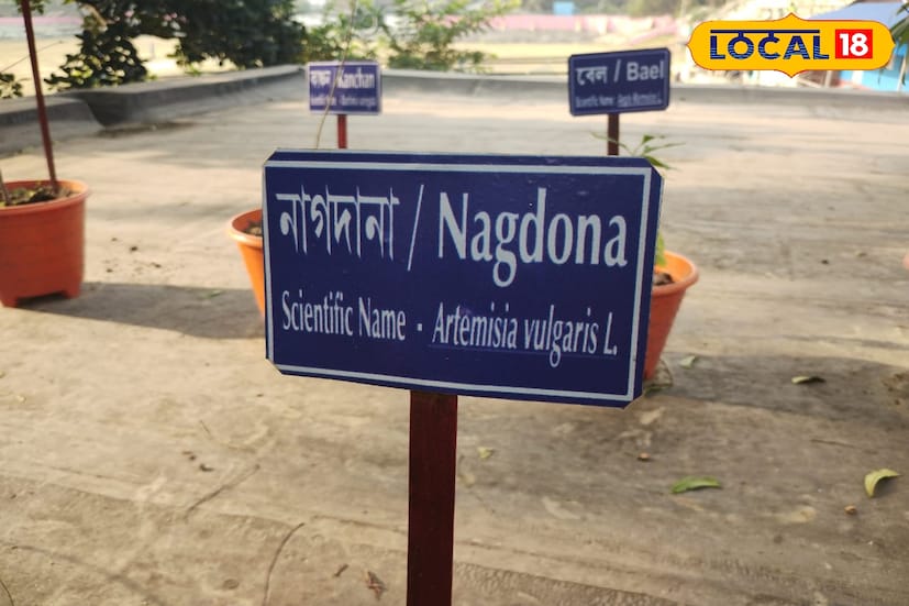 *ভেষজ উদ্ভিদ বন্টন কর্মসূচির মাধ্যমে বিনামূল্যে পেয়ে যাবেন ভেষজ গাছ। আয়ুষ শাখাতে এসে আবেদন করলেই, আপনার প্রয়োজনের ভেষজ গাছ পেতে খুব একটা অসুবিধা হবে না, এমনটাই জানান ডঃ পার্থ সারথি রায়। প্রতিটি ভেষজ উদ্ভিদের ভেষজ গুণ আলাদা।