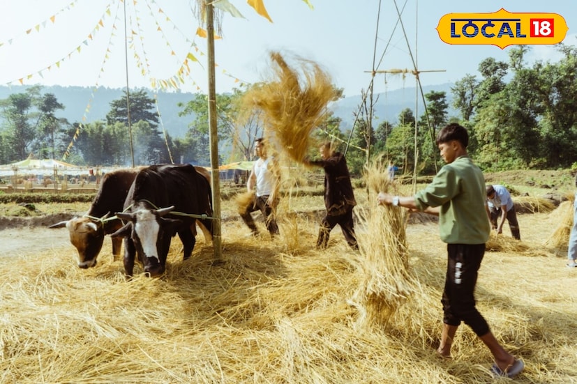 এছাড়াও, উৎসবের সময় স্থানীয় বাসিন্দাদের তৈরি হাতে গড়া হস্তশিল্প, খাদ্যপণ্য ও সাংস্কৃতিক প্রদর্শনীও আয়োজন করা হবে। এতে পাহাড়ের ঐতিহ্যবাহী সংস্কৃতি ও গ্রামীণ সৌন্দর্য তুলে ধরা সম্ভব হবে। উৎসব চলাকালীন স্থানীয় কৃষক ও শিল্পীদের তৈরি দ্রব্য প্রদর্শনীর পাশাপাশি থাকছে লোকসঙ্গীত ও নৃত্যানুষ্ঠান।