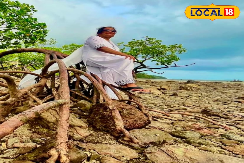 উমলিং লা পাস, লাদাখের দেমচক গ্রামের কাছে অবস্থিত, যা বর্তমানে পৃথিবীর সর্বোচ্চ মোটরচালিত রাস্তা- বলিভিয়ার ভলক্যানো রোডকেও ছাড়িয়ে গেছে। মাইনাস দশ থেকে দুই ডিগ্রির মধ্যে তাপমাত্রা, তবুও হাসিমুখে হাত নাড়িয়ে ছবি তুলেছেন সন্ধ্যা দেবী। সেই ছবি সমাজমাধ্যমে ভাইরাল হতেই নেটিজেনরা প্রশংসা করে বলছেন- জিও কাকিমা