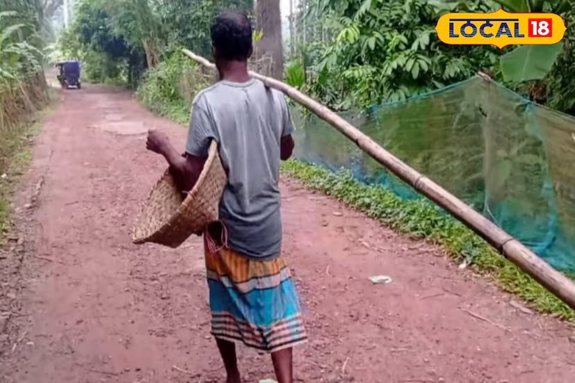 অবশেষে বলা যায়, ক্ষুদ্র জীবের ক্ষুদ্র ডিমই বসিরহাটের প্রান্তিক মানুষের জীবনে আশার আলো এনে দিয়েছে। প্রকৃতির সঙ্গে লড়াই করেই তারা গড়ে তুলেছেন স্বনির্ভরতার এক নতুন দৃষ্টান্ত, যেখানে পিঁপড়ের ডিমই আজ তাদের জীবনের রুটিরুজির অন্যতম সহায়।