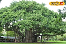 Bankura News: গাছের তলায় শুরু, আজ পঞ্চাশে পা, শোভাযাত্রার মধ্য দিয়েই সুবর্ণজয়ন্তী উদযাপন বাঁকুড়ার বিদ্যালয়ে