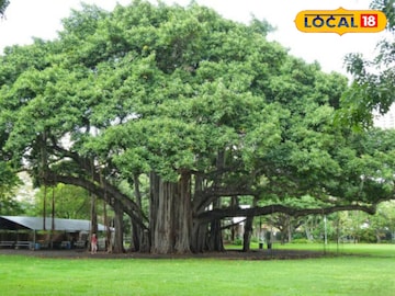 প্রতিকী