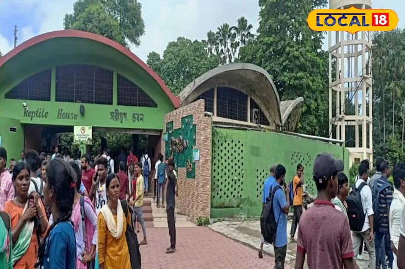 শীতকাল এসে গিয়েছে। ধীরে ধীরে পর্যটক বাড়বে চিড়িয়াখানায়। এর মাঝে কবে দেখা মিলবে এই সাপের সেই কথাও সঠিক ভাবে বলা যাচ্ছেনা। গ্রিন অ্যানাকোন্ডা আসার পর প্রায় চারমাস হয়ে গিয়েছে। তবে তাদের এখনও দর্শকদের সামনে আনা হয়নি। চিড়িয়াখানায় আসার কিছুদিন পর থেকে সবুজ অ্যানাকোন্ডা জুটির একটি রোগে ভুগছে।