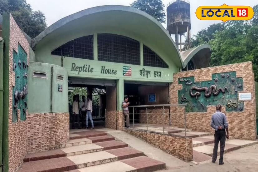 তাদের জন্য নতুন ঘর সাজানো হয়েছে। কোয়ারান্টাইন মেয়াদ কাটিয়ে সেখানে তাদের থাকার কথা। কিন্তু চারমাস পার হয়ে গেলেও সে ঘর এখনও খালি। এদিকে সবুজ অ্যনাকোন্ডা এসেছে শুনে চিড়িয়াখানায় দর্শকরা ভিড় জমাচ্ছেন নয়া অতিথিদের ঘরের সামনে। দেখা না পেয়ে হতাশ হয়ে ফিরেও যাচ্ছেন।